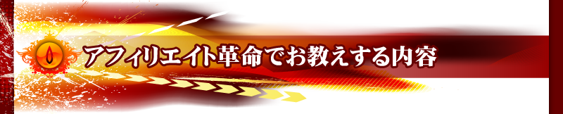 �A�t�B���G�C�g�v���ł�����������e