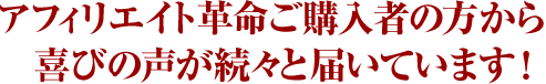 �A�t�B���G�C�g�v�����w�����ꂽ���̊�т̐������������������B