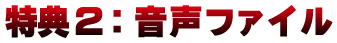 特典2